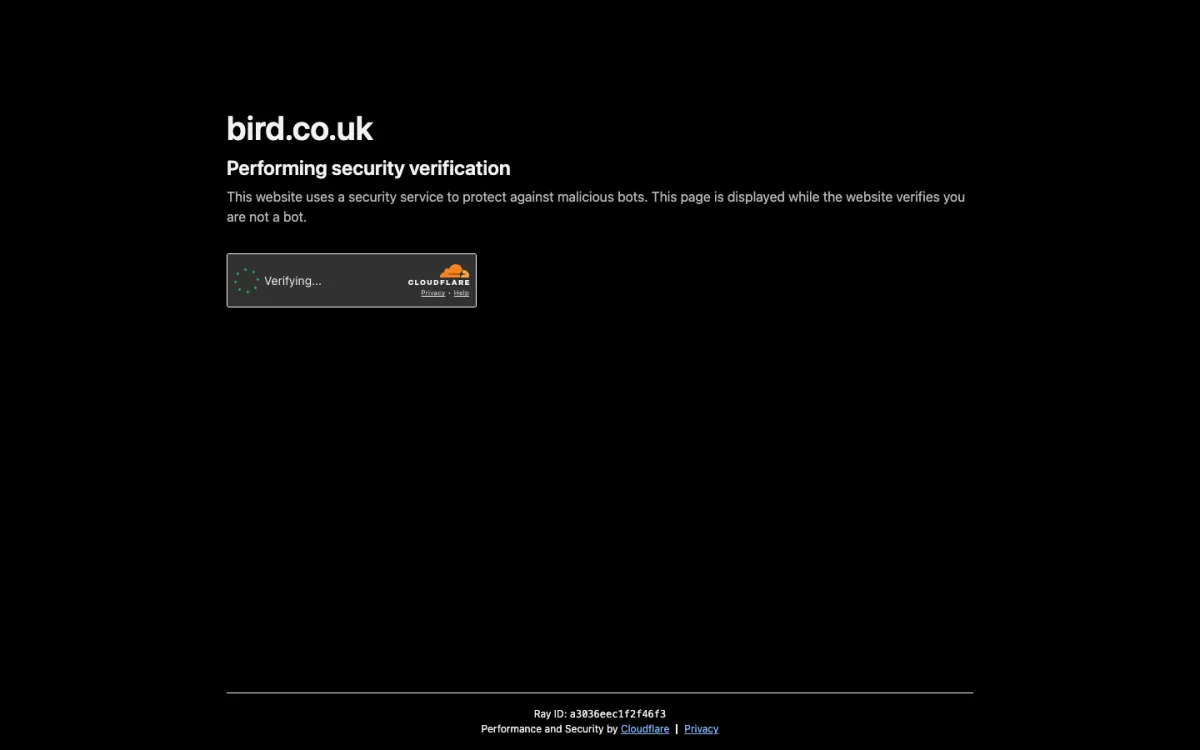 Bird Marketing homepage
